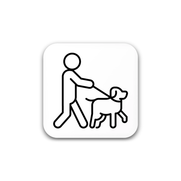walking the dog
