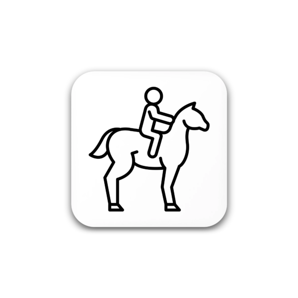 paardrijden